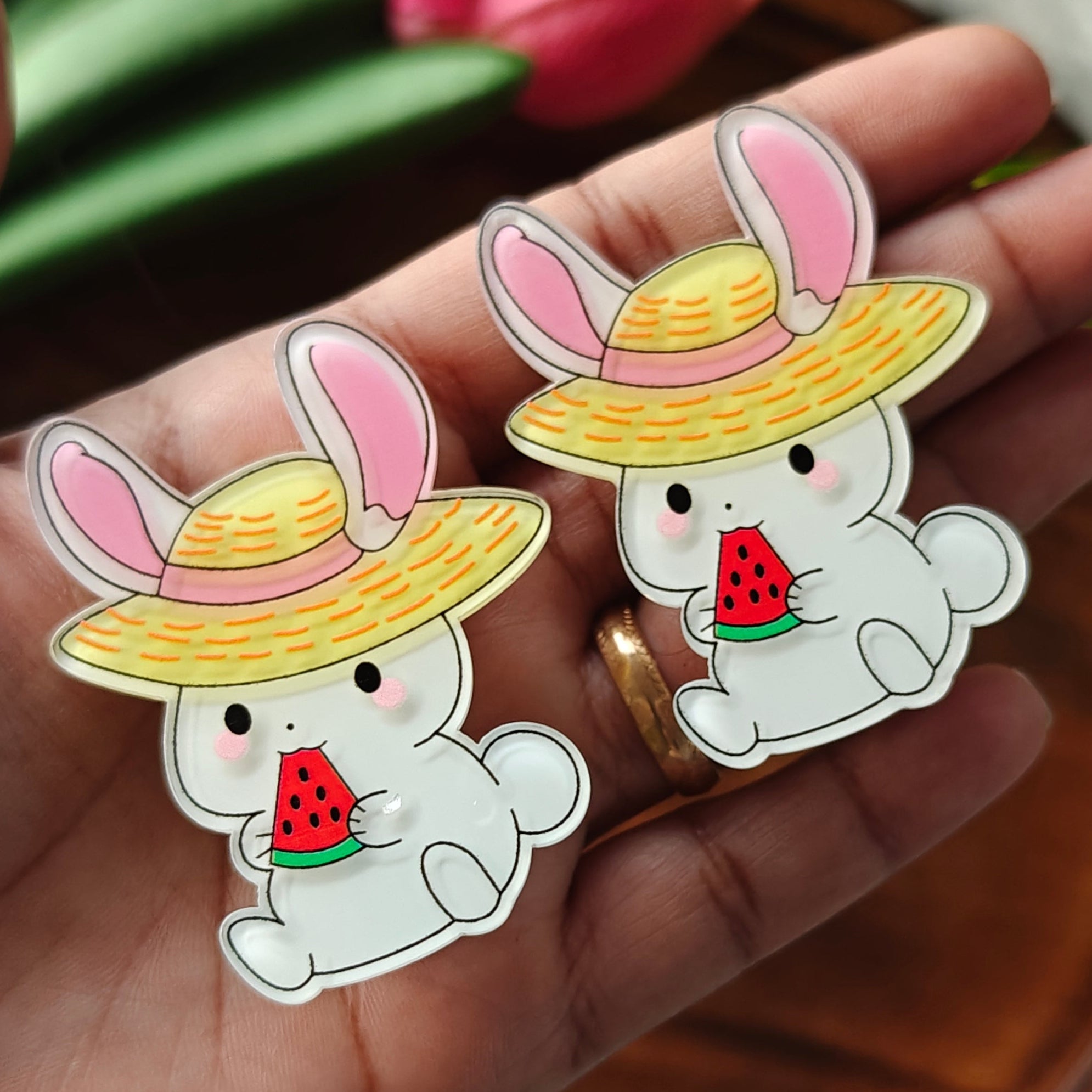 Cute Resin Hair Clip